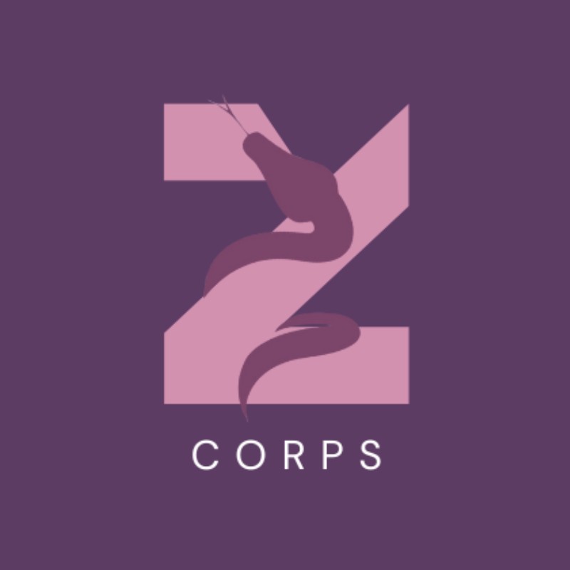Zcorps - Agence Web à Perpignan - Création de Sites et Design